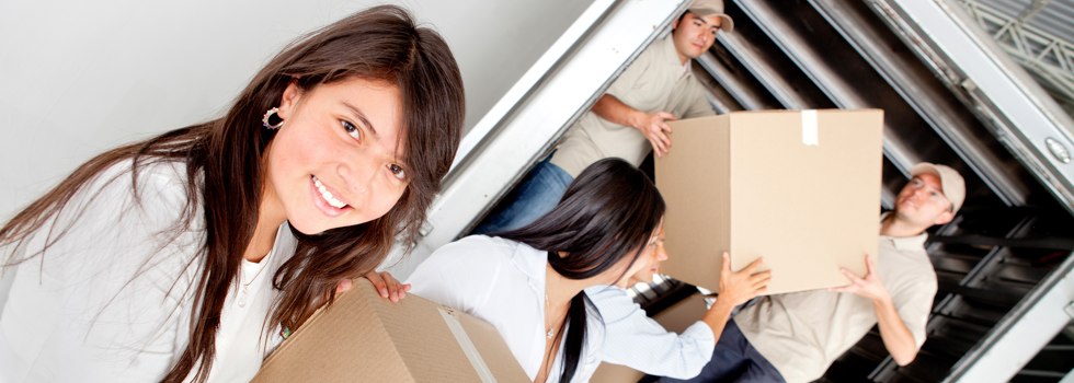 Professional Removalists Edenville